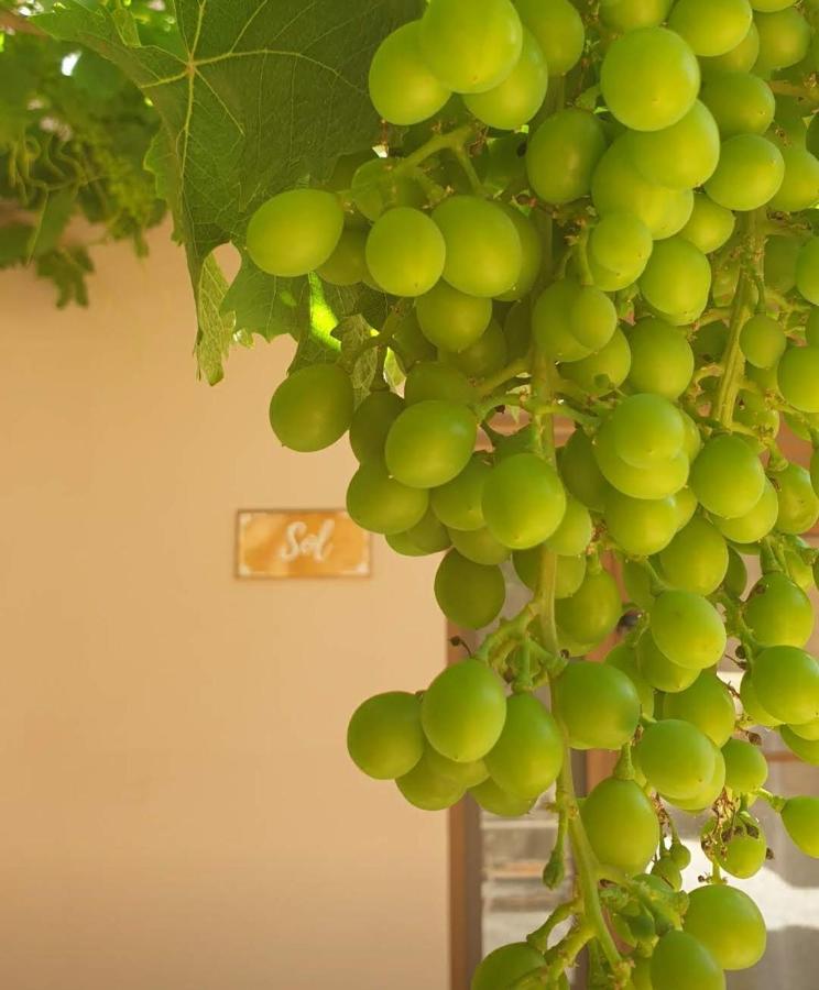 Premium Bed & Breakfast Casa Alegria Andaluza Los Romanes Zewnętrze zdjęcie