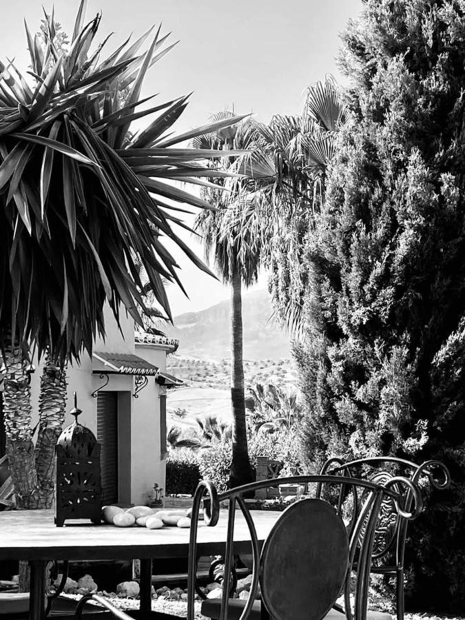 Premium Bed & Breakfast Casa Alegria Andaluza Los Romanes Zewnętrze zdjęcie